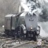 Oakfield53