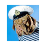 saltydog