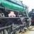 richard_3672