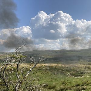 IMG_8652